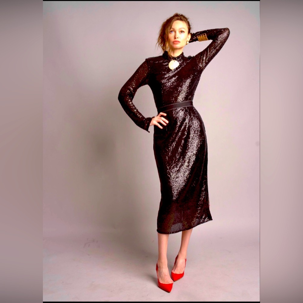 Sequin long sleeve turtle neck midi Dress